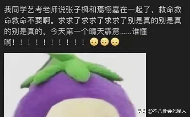 张子枫_张子枫个人资料_张子枫演的电影