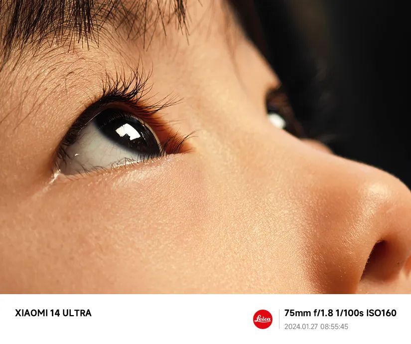 社区o2o平台功能架构_龙铠架构与小米14的功能性分析_小米铠甲