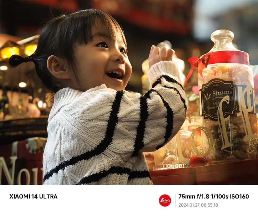 社区o2o平台功能架构_龙铠架构与小米14的功能性分析_小米铠甲