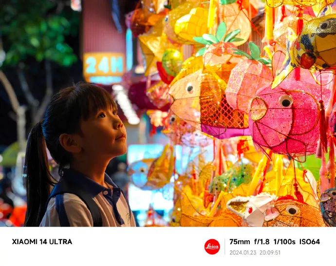 小米铠甲_龙铠架构与小米14的功能性分析_社区o2o平台功能架构