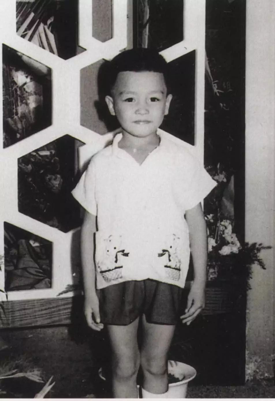 张国荣的成就与当代影响_张国荣成就有哪些_张国荣的成就谁能超越