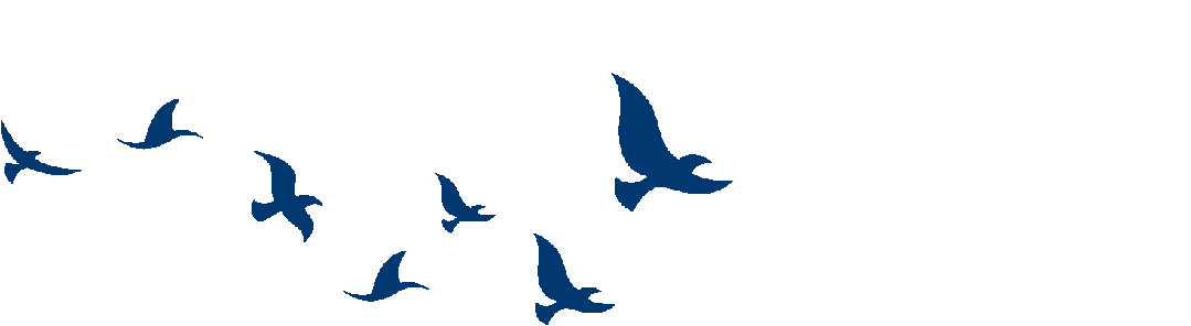 唐玄宗杨贵妃悲剧爱情总结_杨贵妃与唐玄宗的爱情故事_杨贵妃唐玄宗爱情的典故